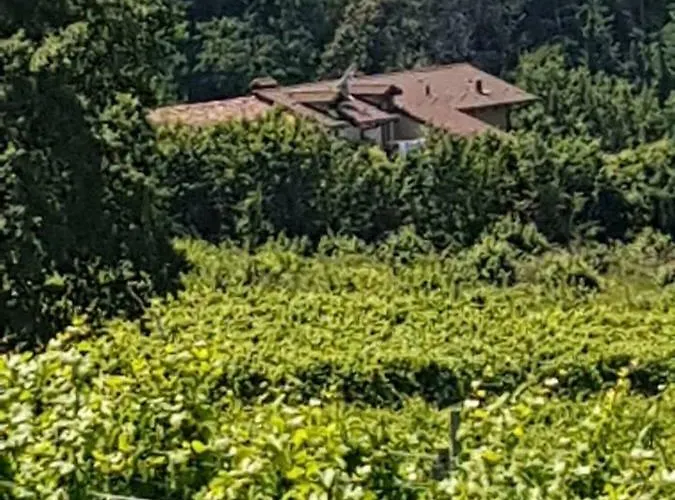 La Casa Di Roby-1 Con Piscina 公寓 拉莫拉